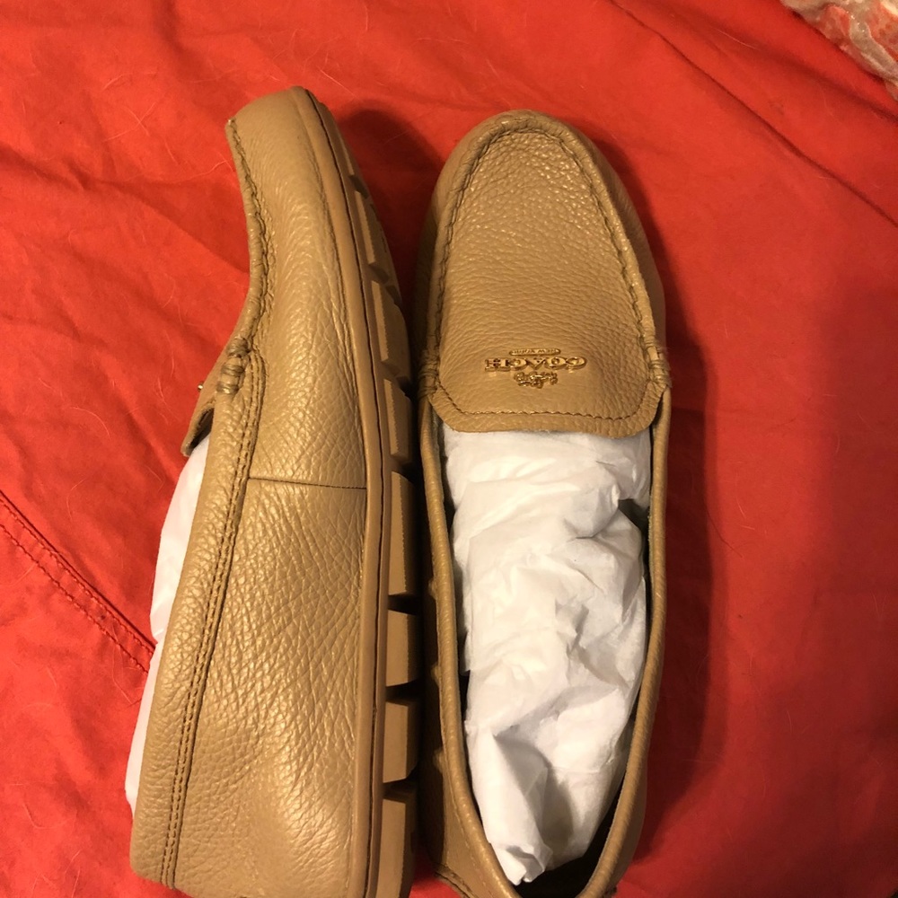 Coach loafers